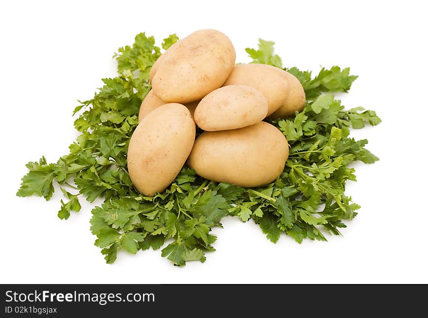 Potatoes on white background close up shoot. Potatoes on white background close up shoot