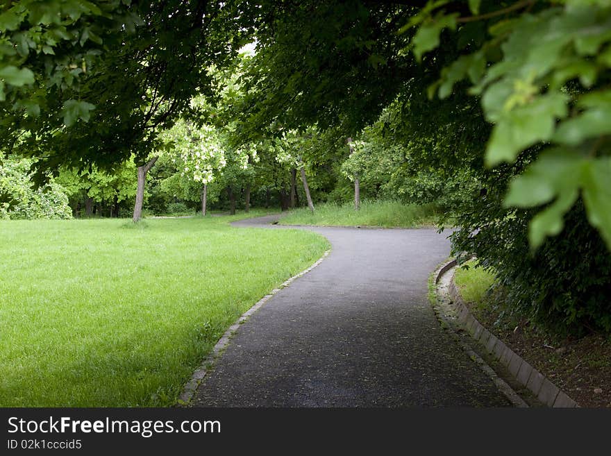 Path through landscaped green park