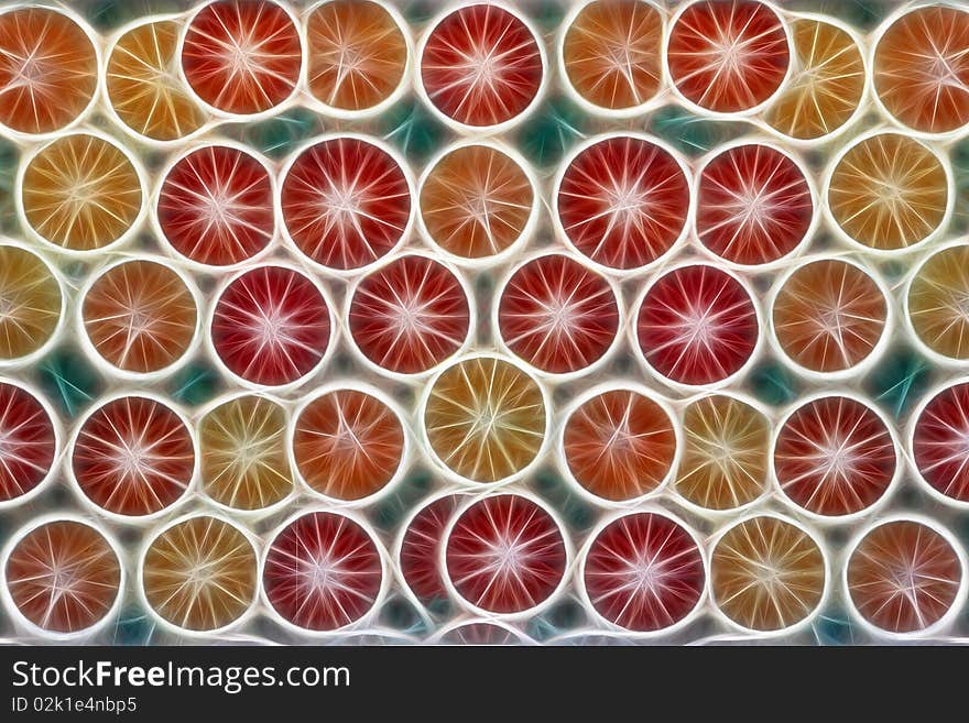 Illustration of slices of Citrus Fruits