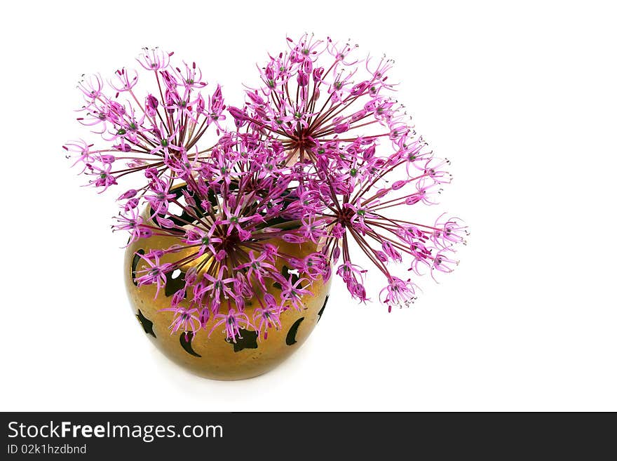 Flowers ornamental onion in a bronze vase isolated on white. Flowers ornamental onion in a bronze vase isolated on white