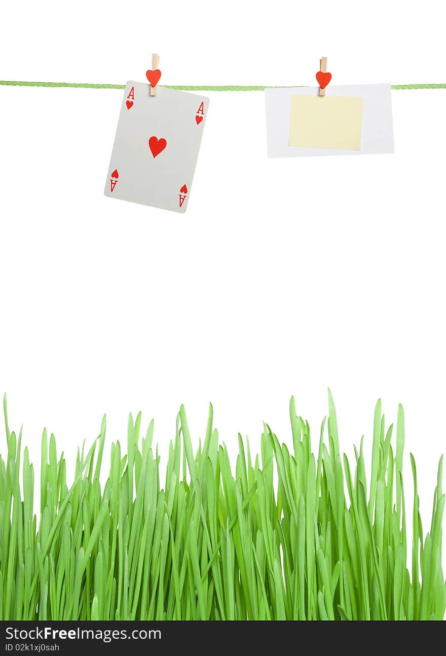 Concept. Playing card ace of hanging on a rope next card. Lawn grass. Isolated. Concept. Playing card ace of hanging on a rope next card. Lawn grass. Isolated