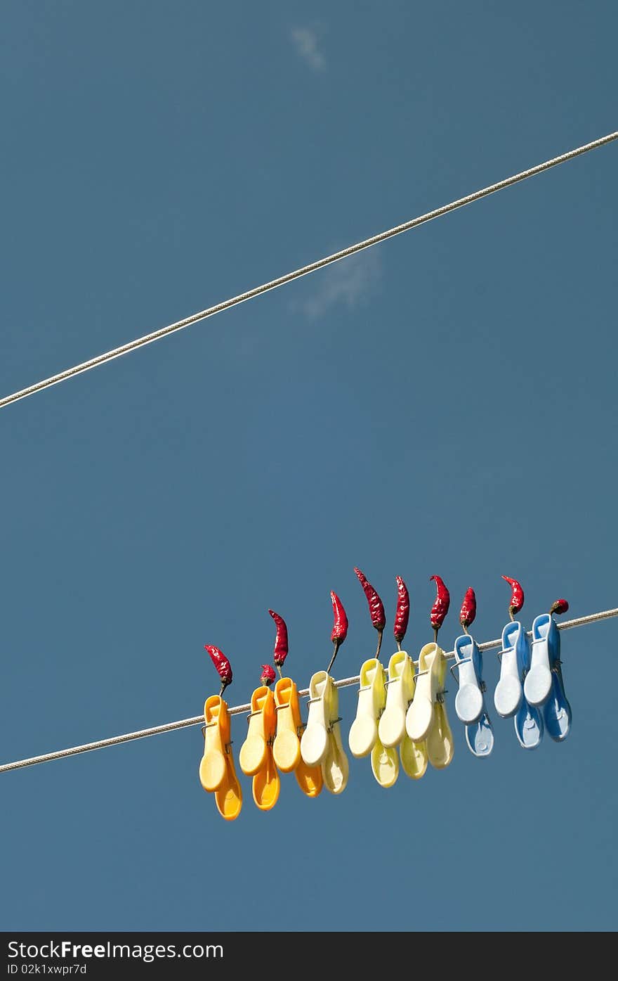 Hot peppers drying in the sun attached to a clothesline. Hot peppers drying in the sun attached to a clothesline