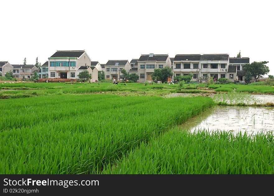 A Farm Village