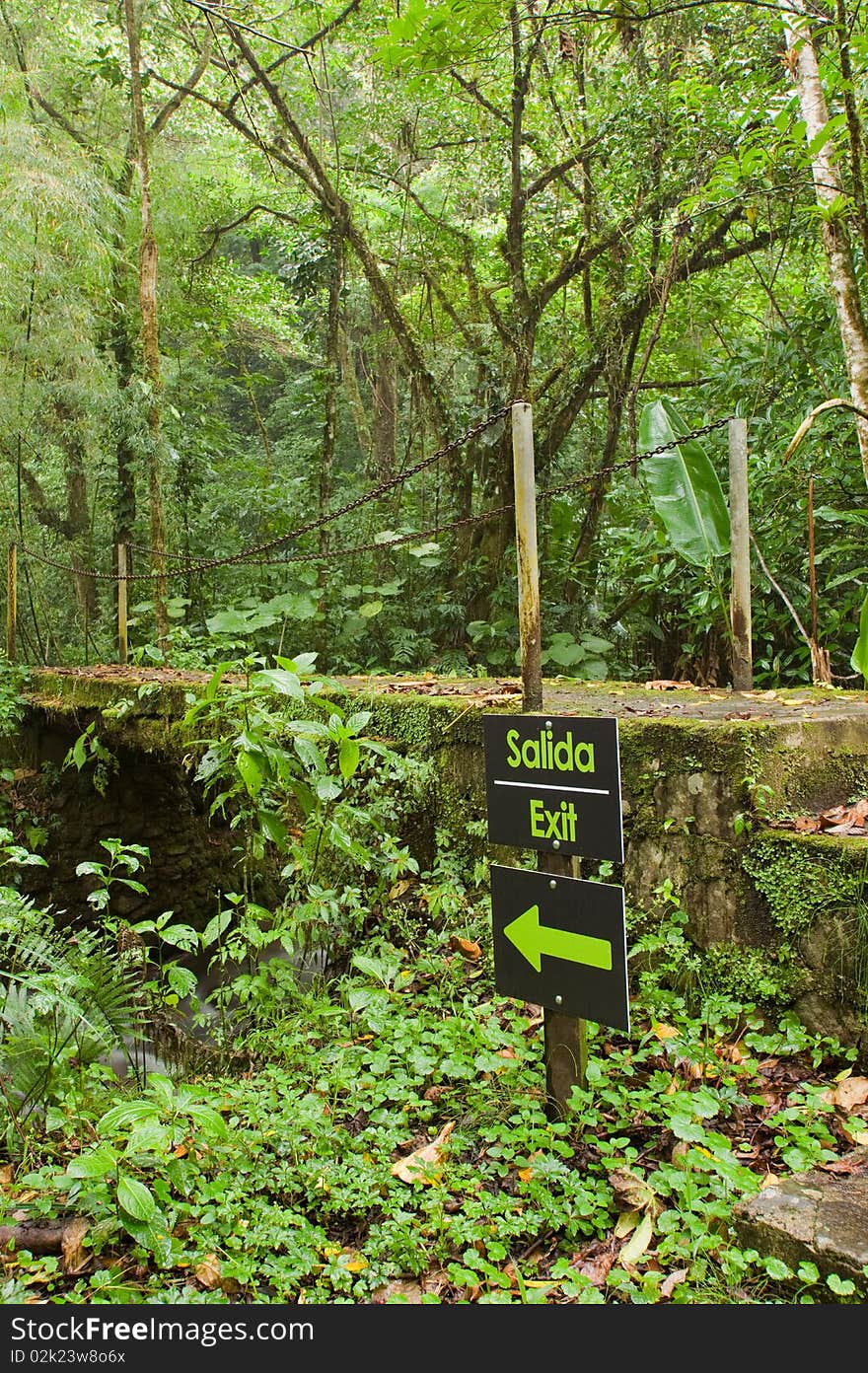 A bilingual sign marks the way in the rain forest of Costa Rica. A bilingual sign marks the way in the rain forest of Costa Rica.