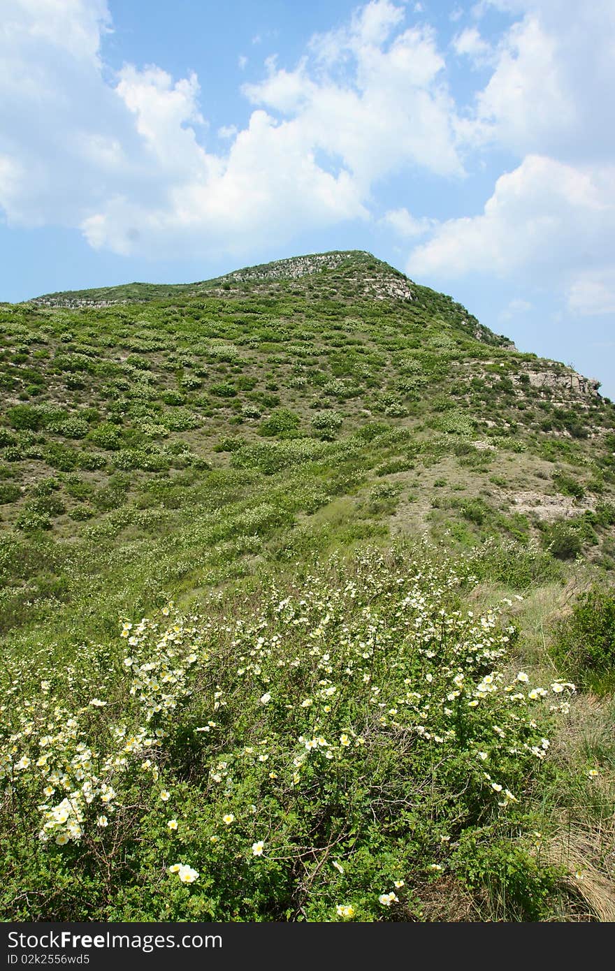 Early summer, the mountain scenery in northern China. Early summer, the mountain scenery in northern China