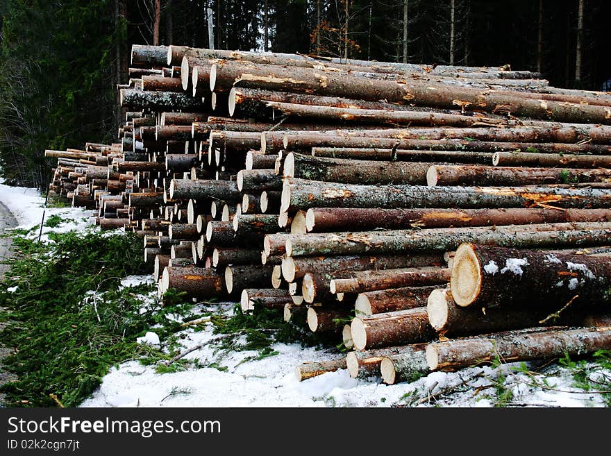 Pile of logs cut for firewood