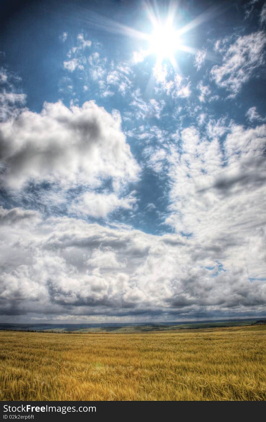 Wheaten Field