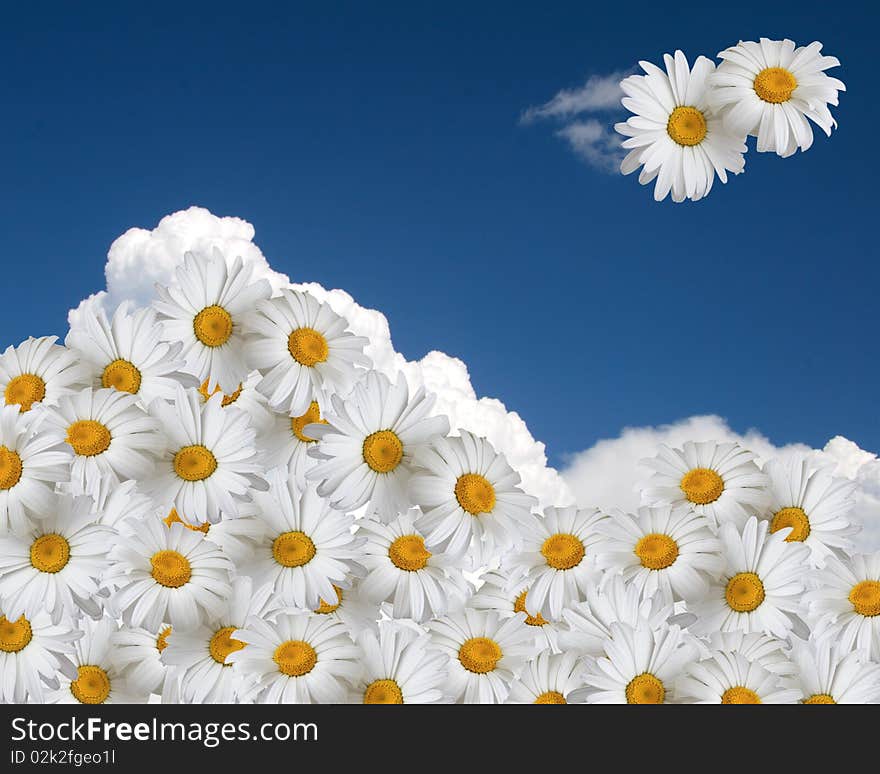 Floral sky background