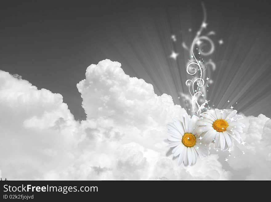 Flowers on sky background beautiful. Flowers on sky background beautiful