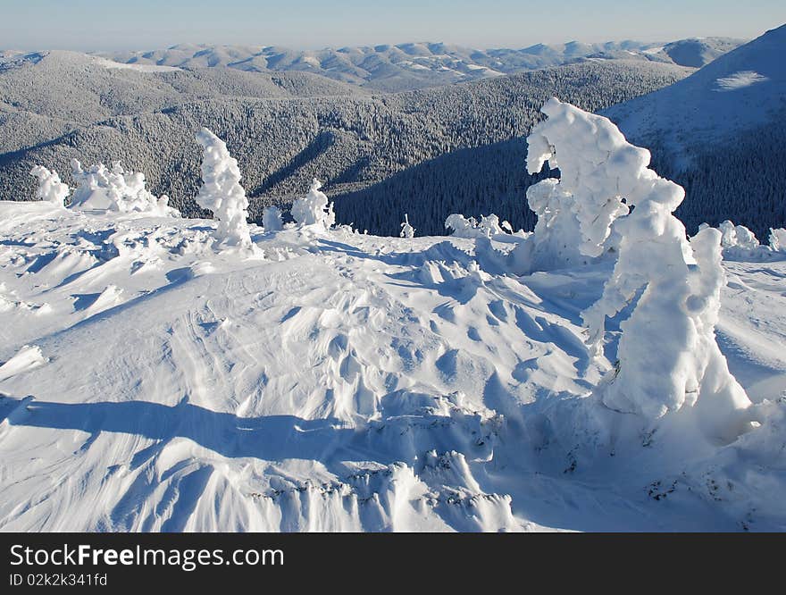 White hillside.