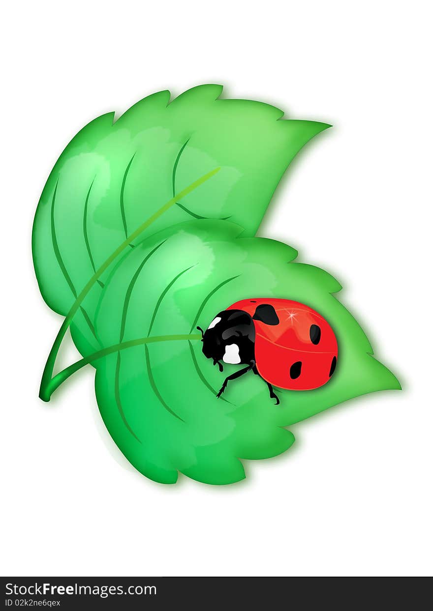 Ladybird on a green leaf