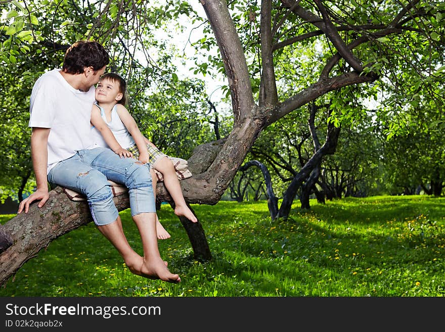 The daddy and the son sit on a tree in forest. The daddy and the son sit on a tree in forest