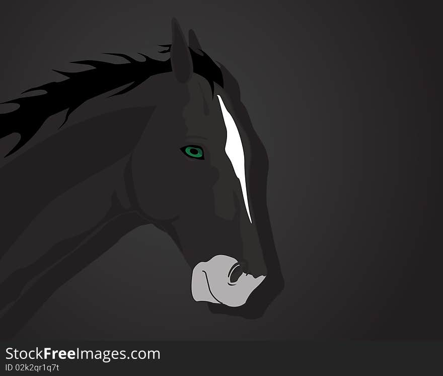 Head of a horse on a dark background. A illustration