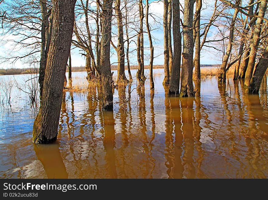 Flood In Wood