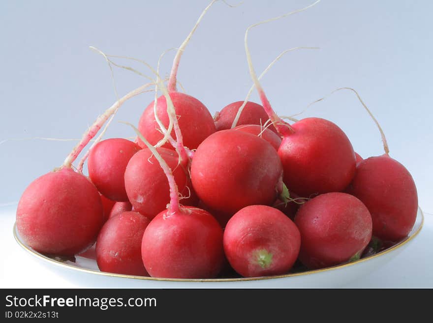 Radish Saucer