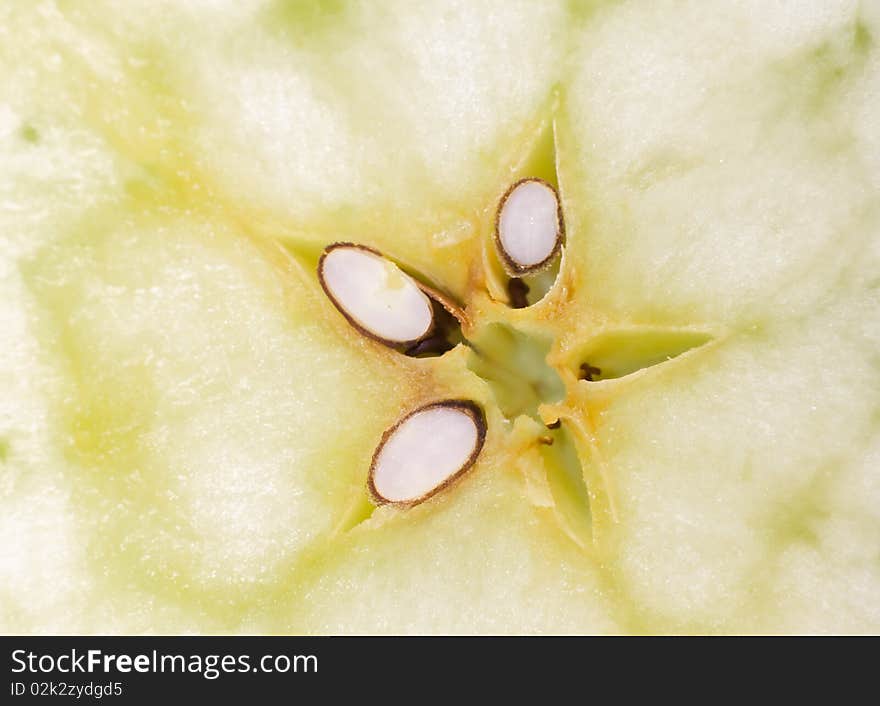 Pips of apple, close up - shallow dof