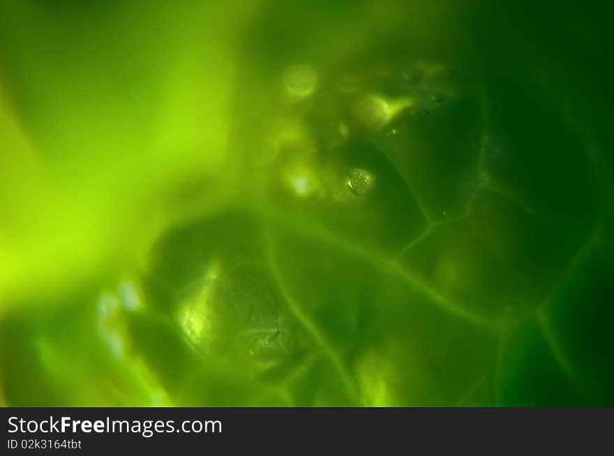 Mystic green background with drops of water