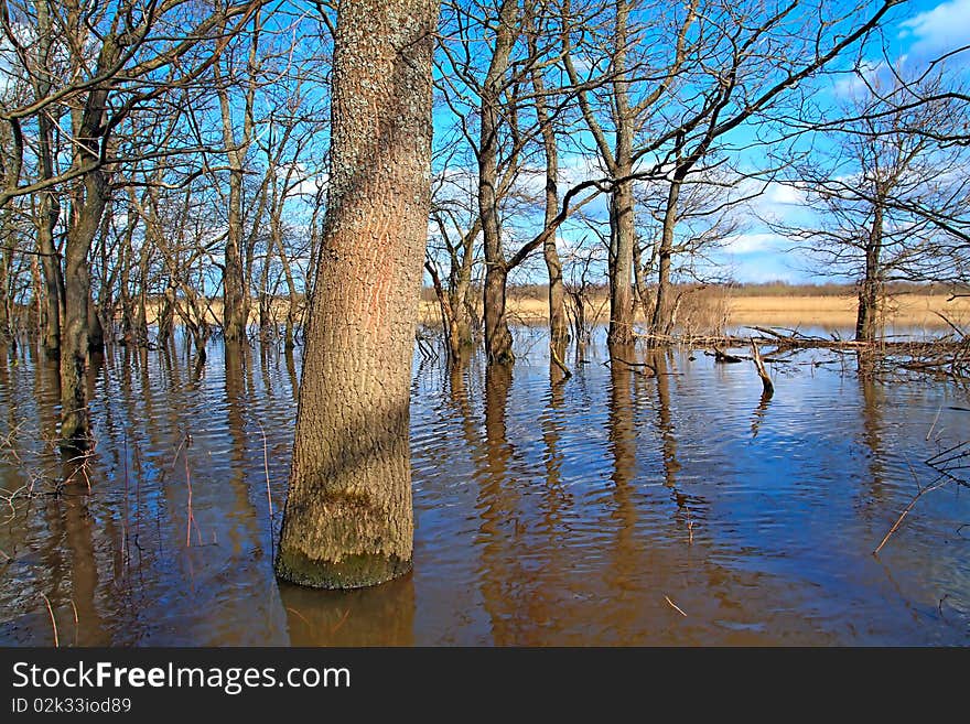 Flood in wood