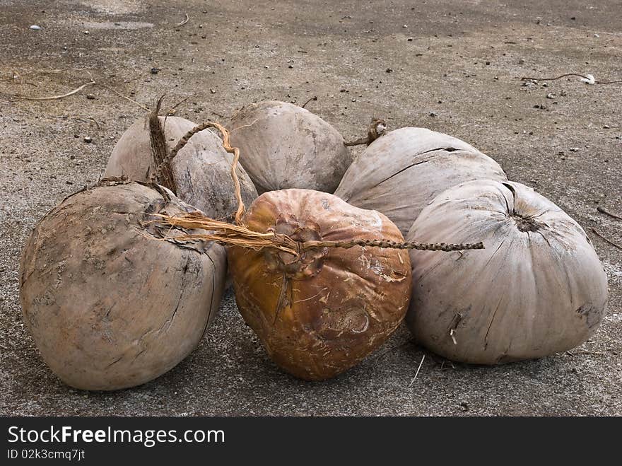 Close up of six coconut