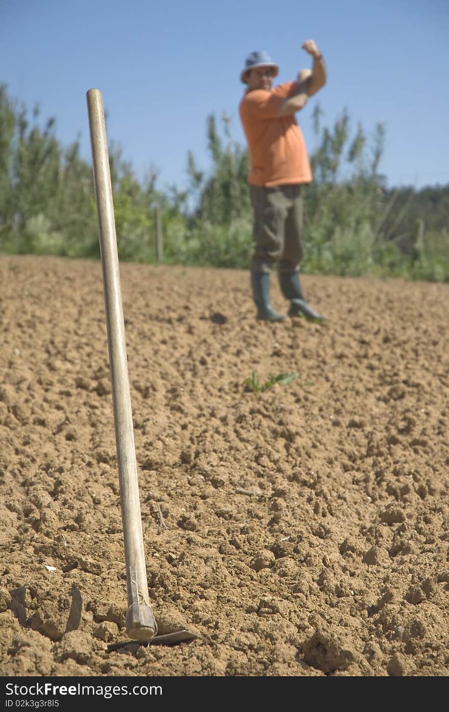 Farmer on the farm with a Hoe in first scene and giving a toma. Farmer on the farm with a Hoe in first scene and giving a toma