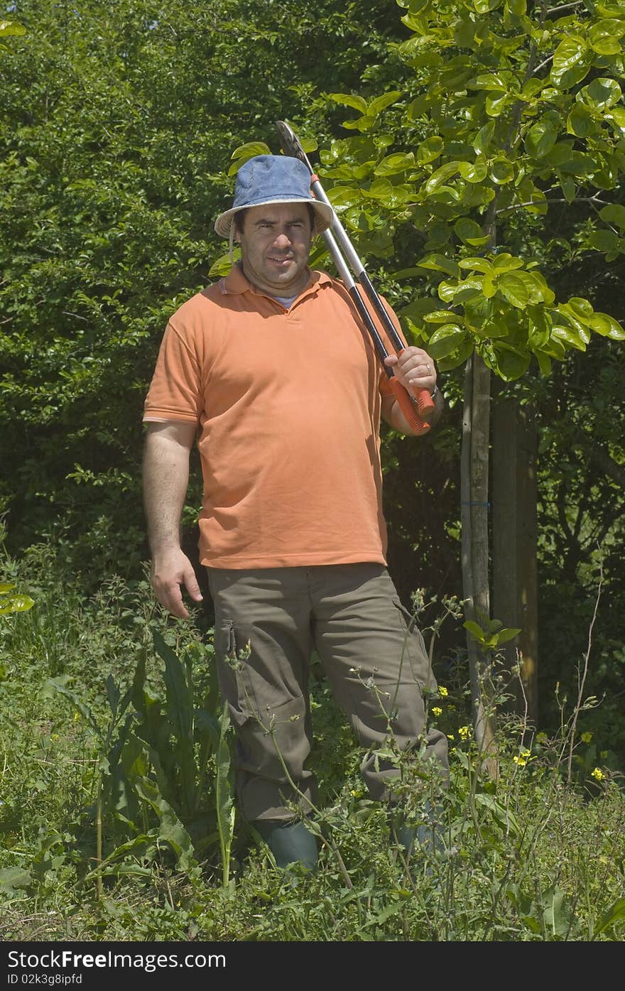 Farmer working on the farm with a pruning shears