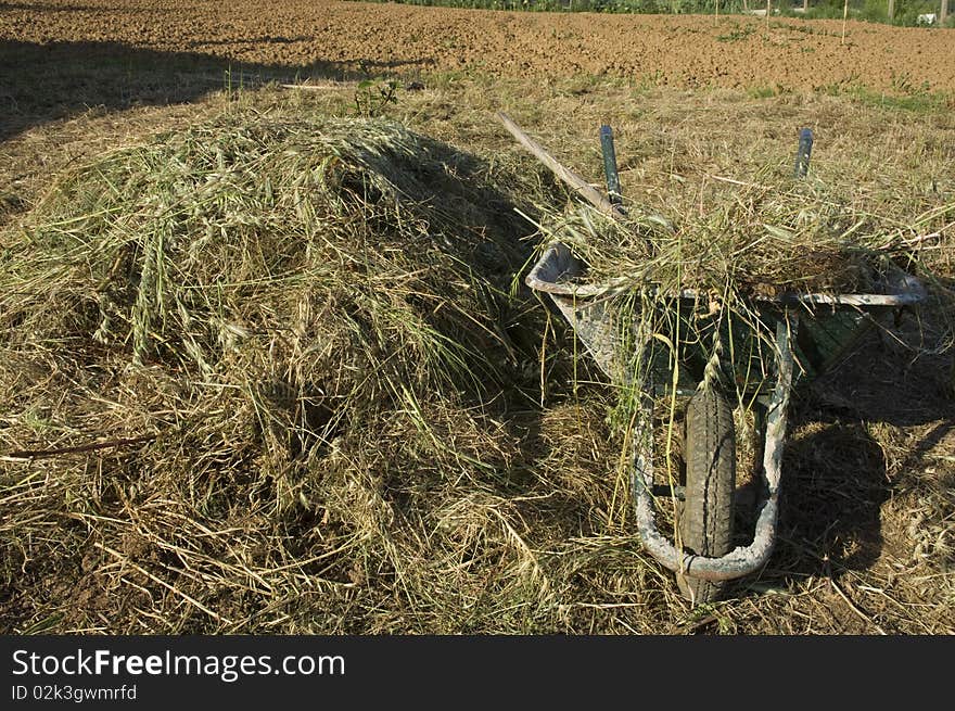 Wheelbarrow With A Haystack