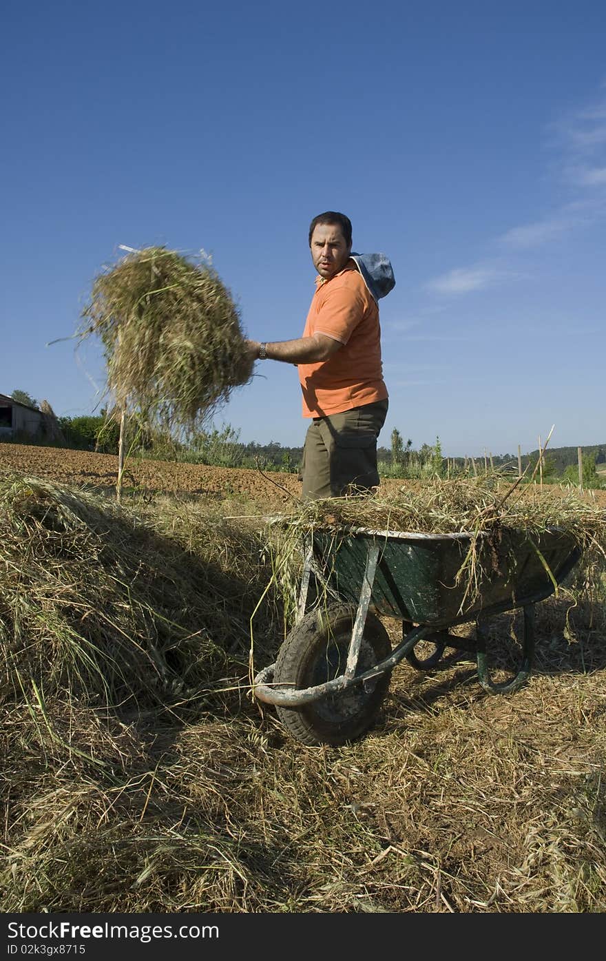 Farmer Working On The Farm