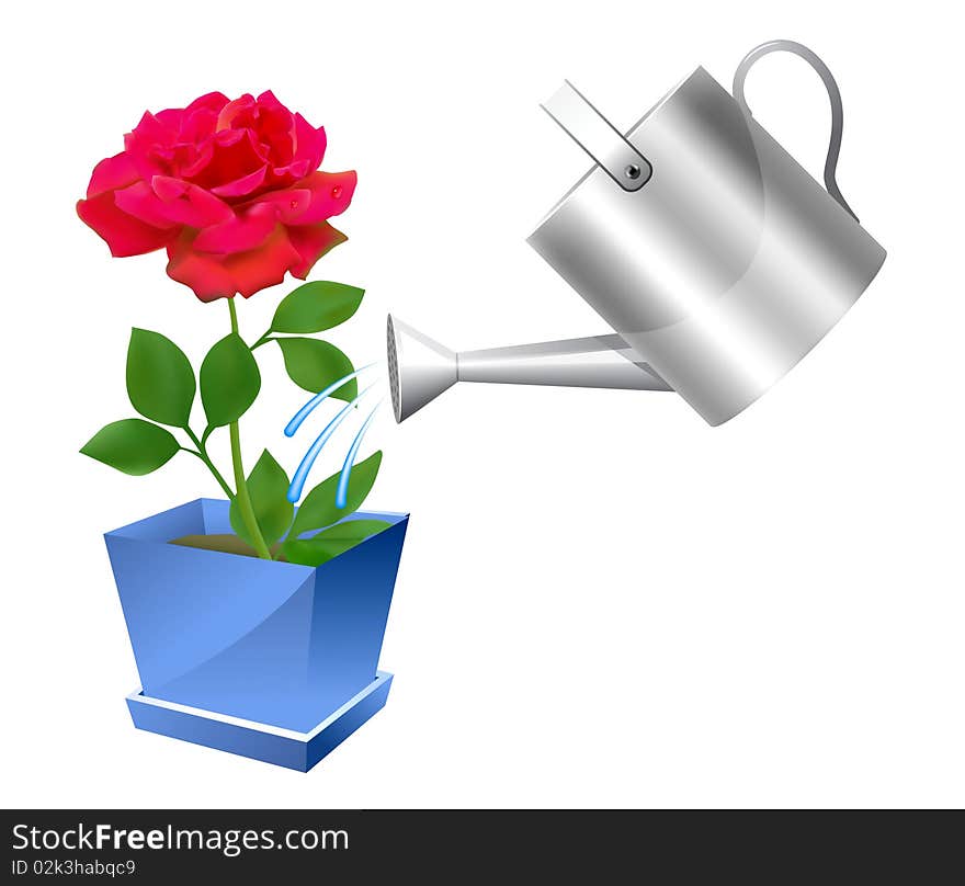 Realistic watering can with rose illustration on white background