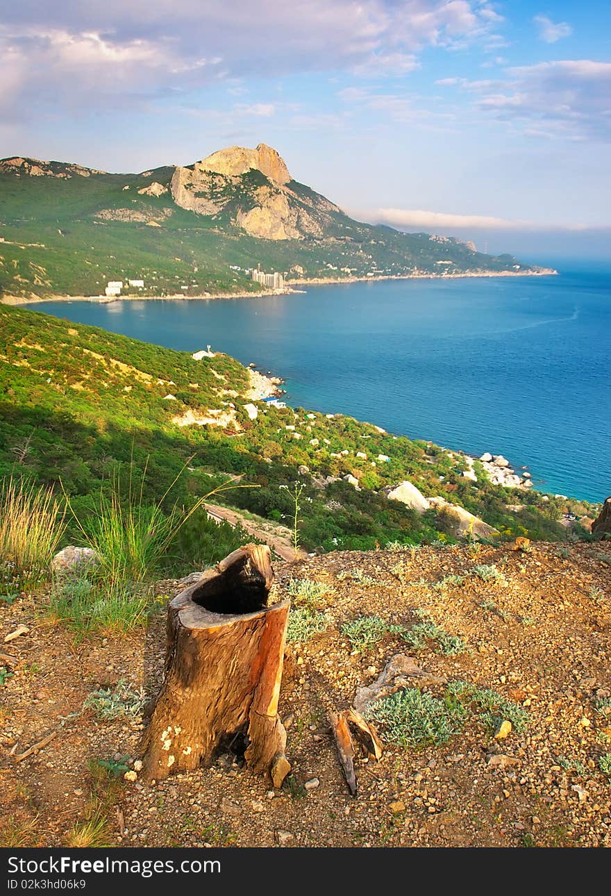 Seascape with wood and stump on foregrounds