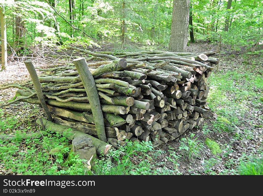 Firewood stack in forest consisting of wood poles in various sizes. Firewood stack in forest consisting of wood poles in various sizes