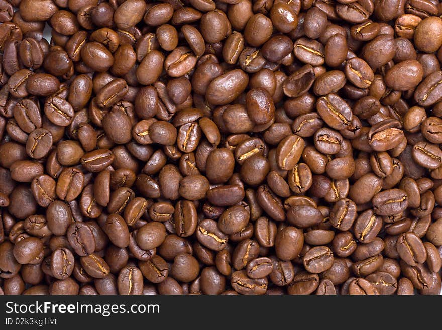 Coffee beans  isolated on a white background