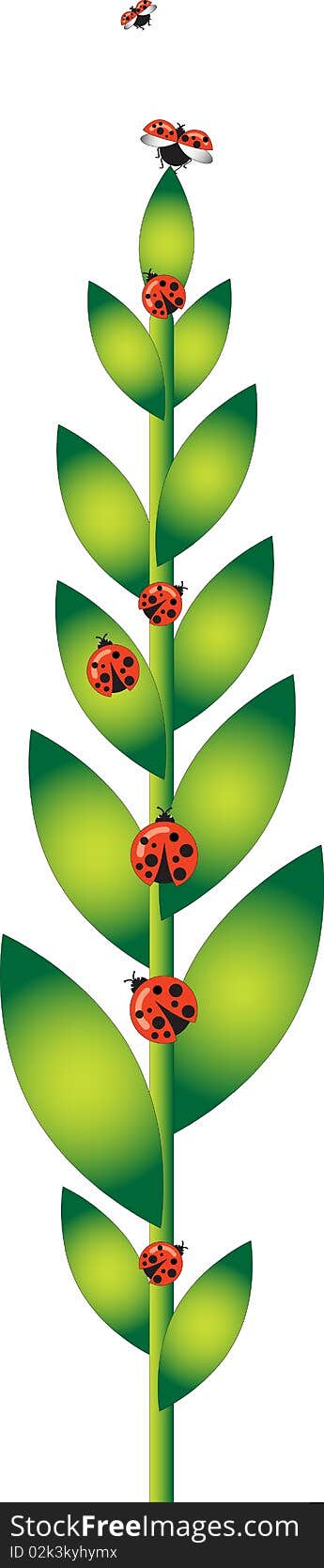 Green Plant with Ladybugs