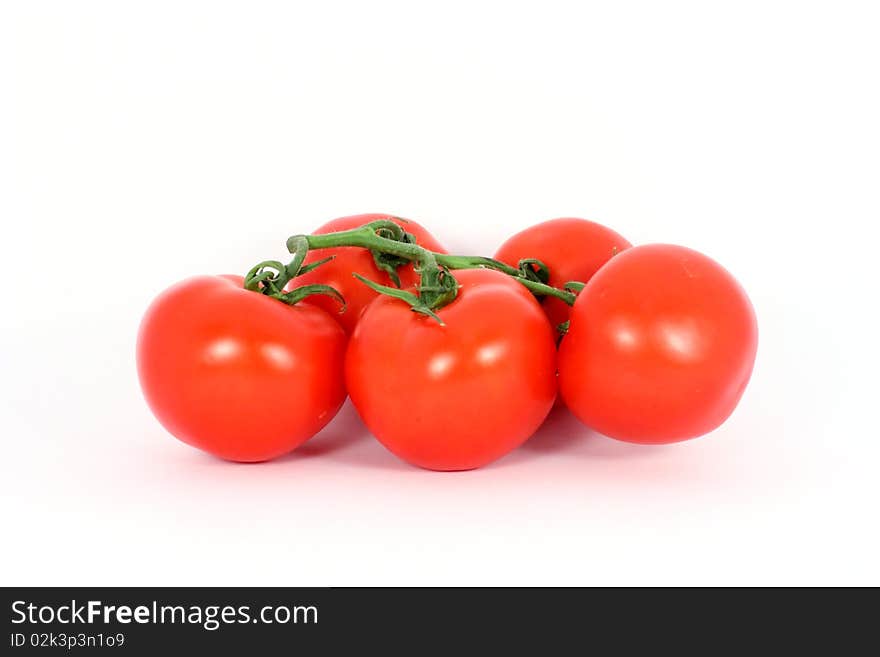 Red tomatoes on the branch isolated on white