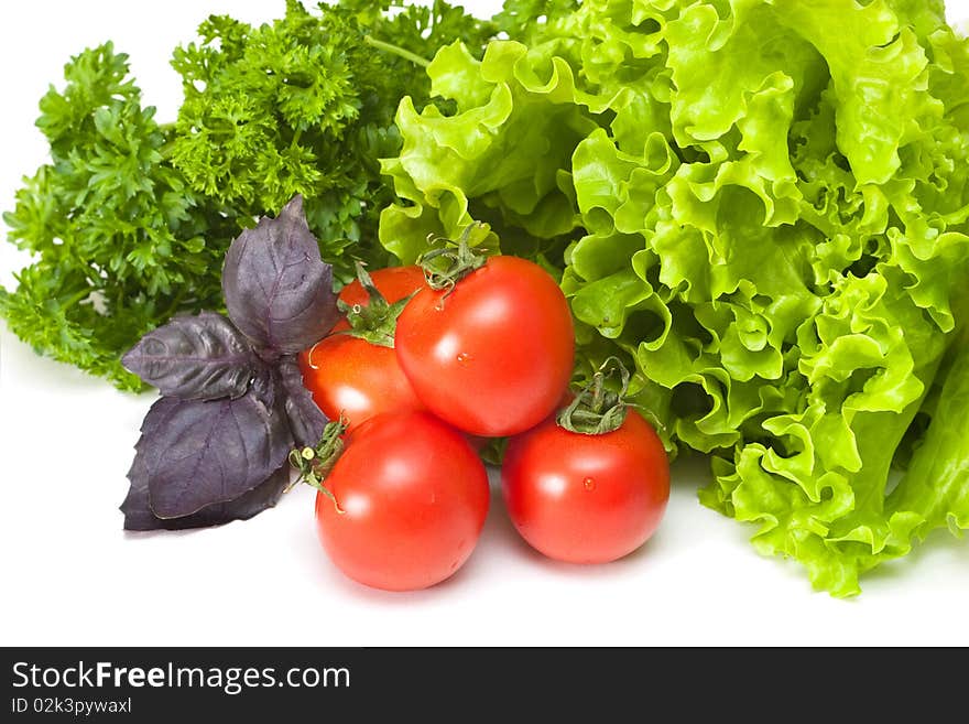 Tomatoes with salad and basil on a white background