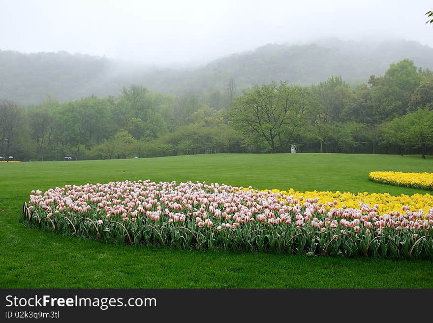 Flower garden in hangzhou china. Flower garden in hangzhou china