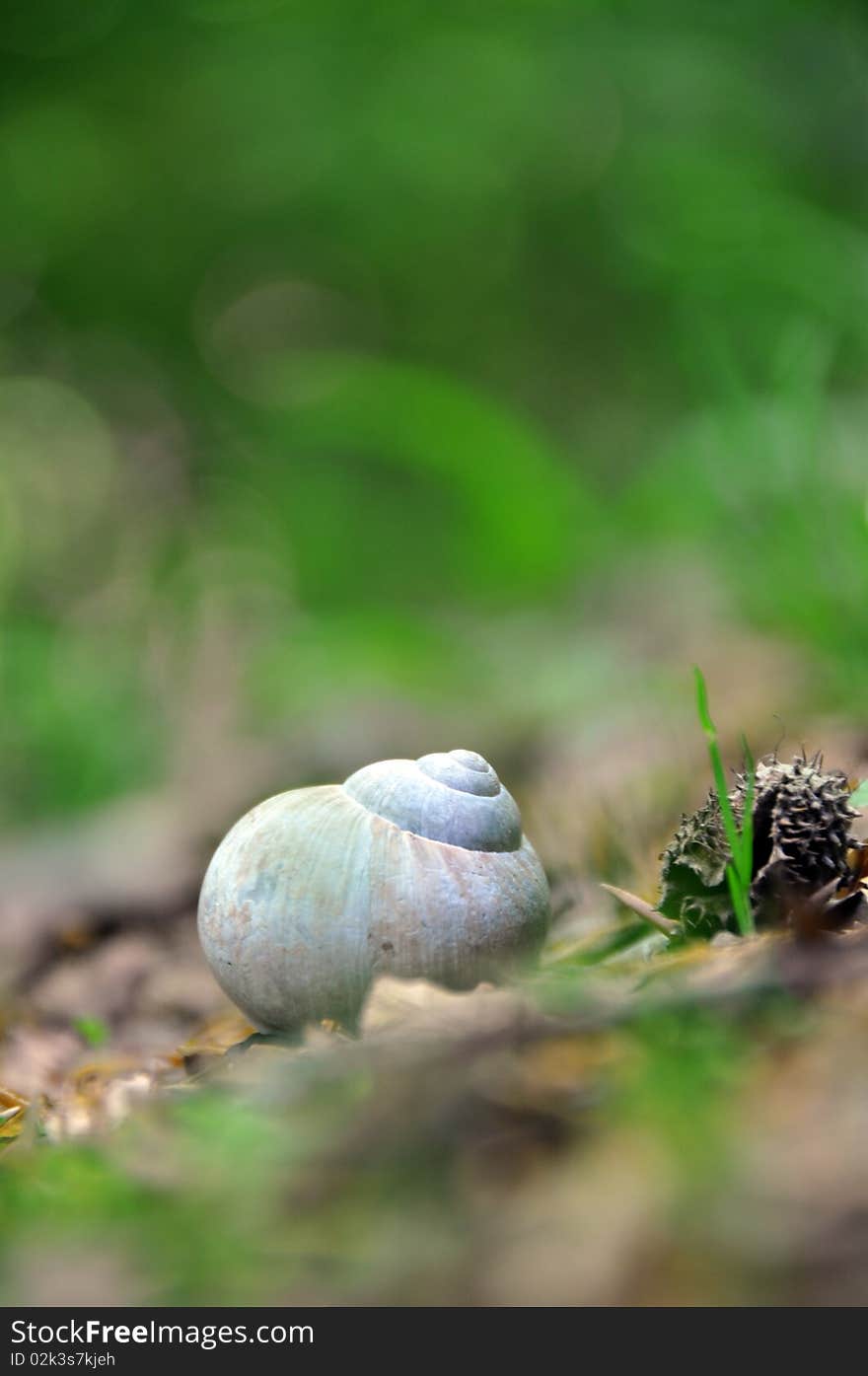 Snail house