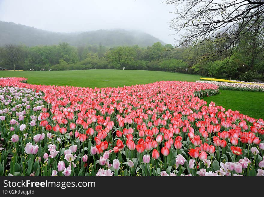 Flower garden in hangzhou china. Flower garden in hangzhou china