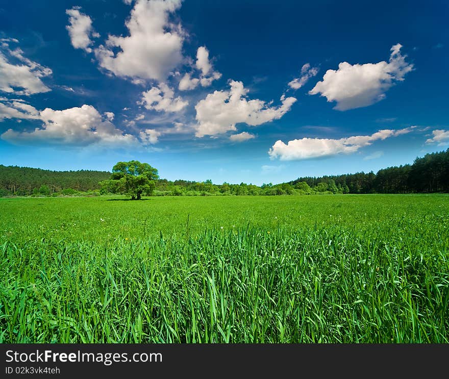 Blue sky with clouds and the green field