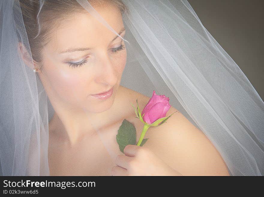 Caucasian bride posing in wedding dress and rose flower. Caucasian bride posing in wedding dress and rose flower