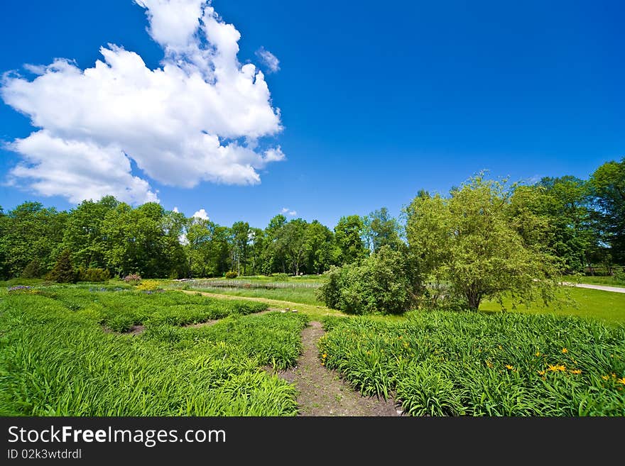 Sky With Clouds And The Green Field