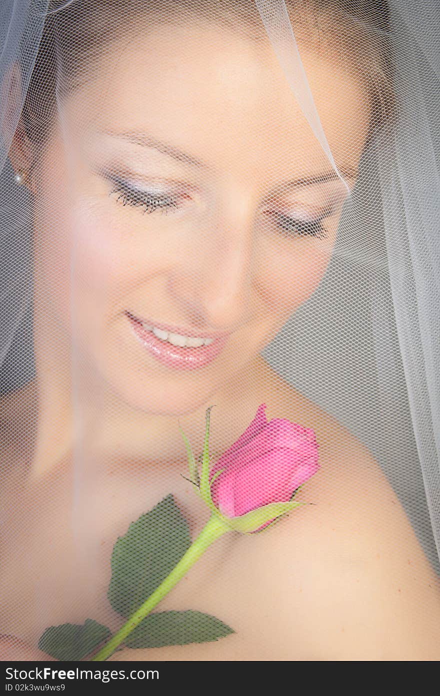 Caucasian bride posing in wedding dress and rose flower. Caucasian bride posing in wedding dress and rose flower