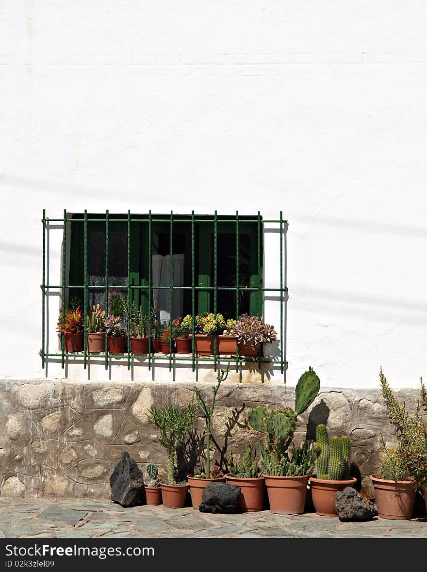 Pots of cactus in front of white & stone wall