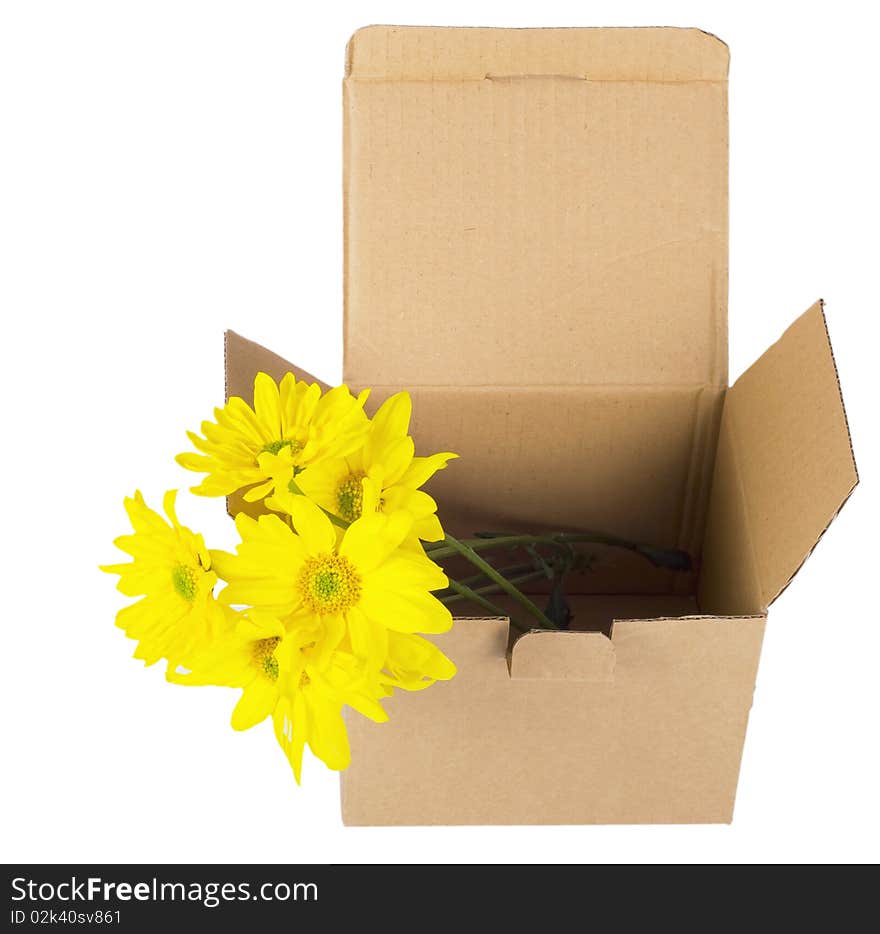 Opened empty paper packing, box  isolated on white background. Opened empty paper packing, box  isolated on white background