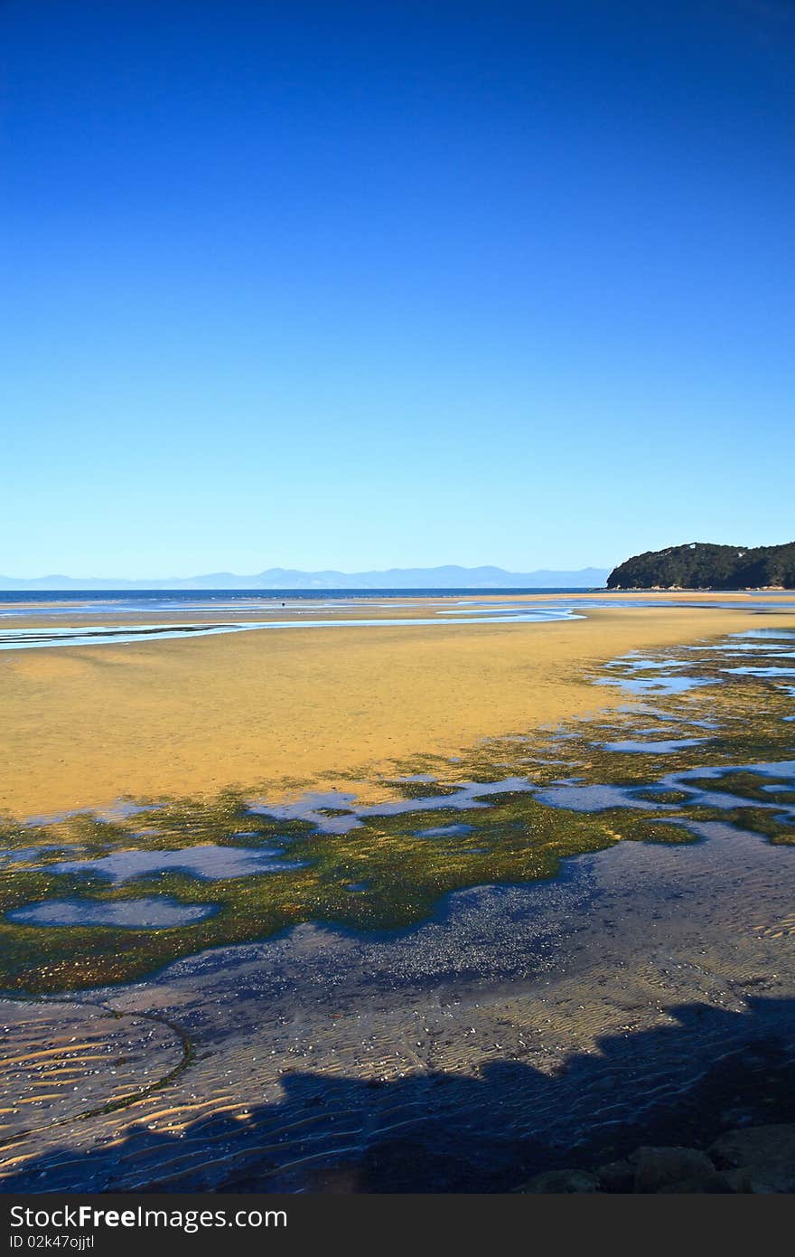 It'a low tide shot where seaweed are visible. It's taken in New Zealand.