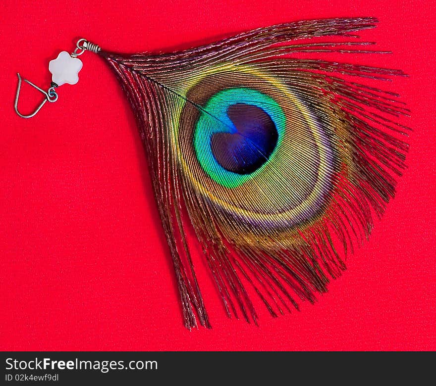 Peacock Earring