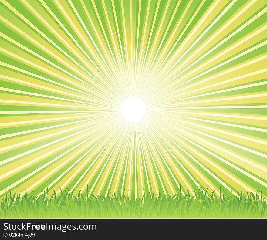 Vector color summer background with grass. Vector color summer background with grass.