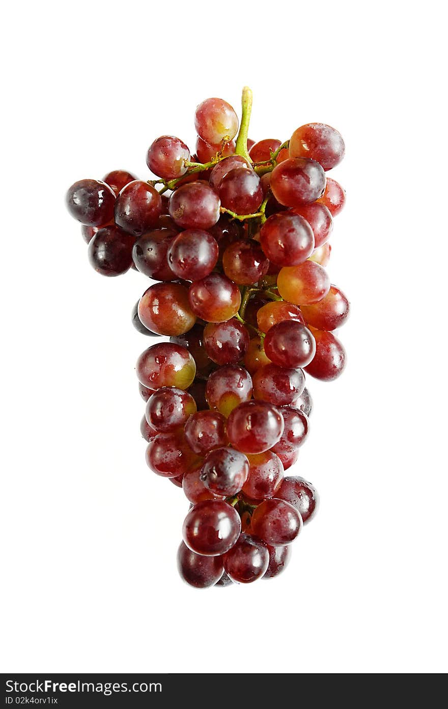 Juicy And Fresh Bunch Of Purple Grapes