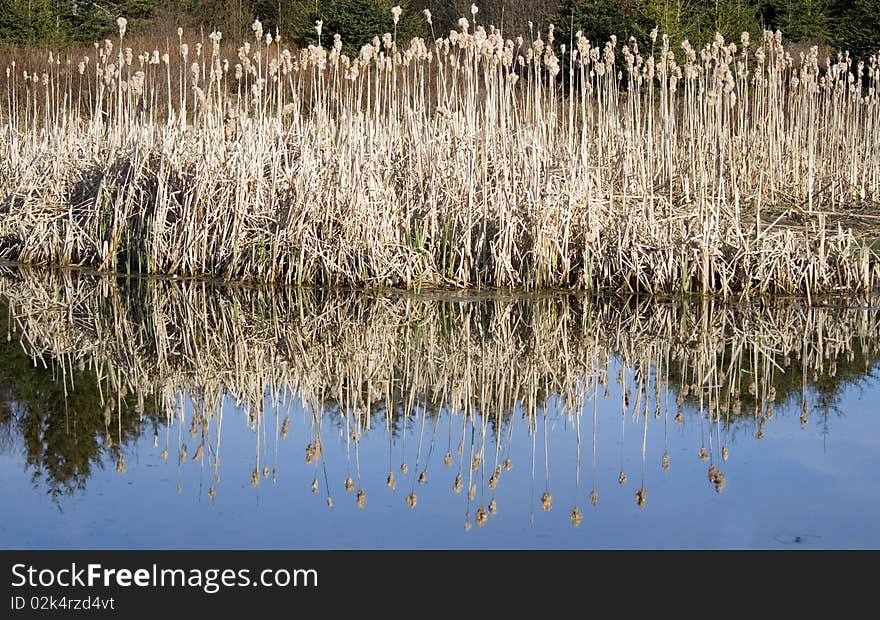 Still Water