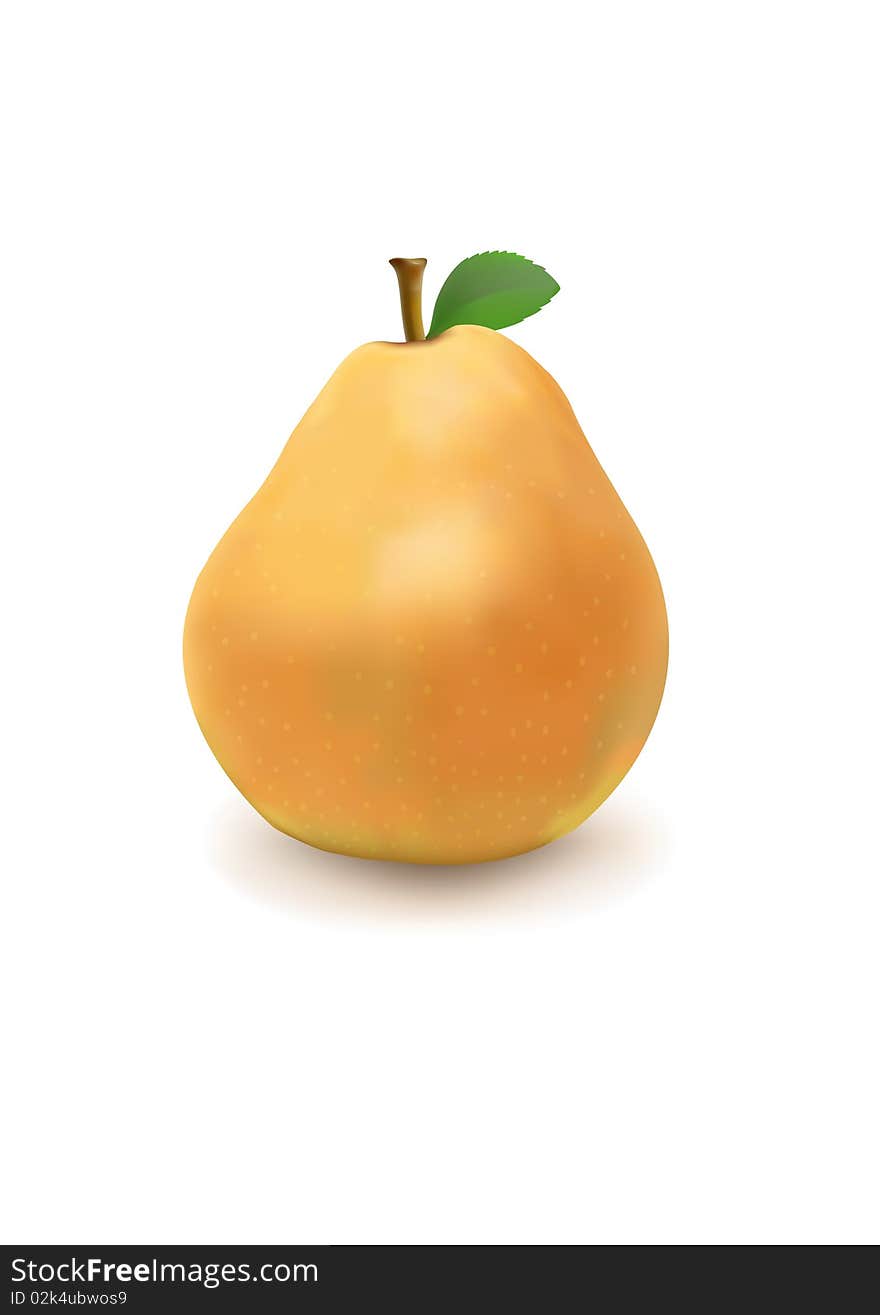 Freash Pear Vector