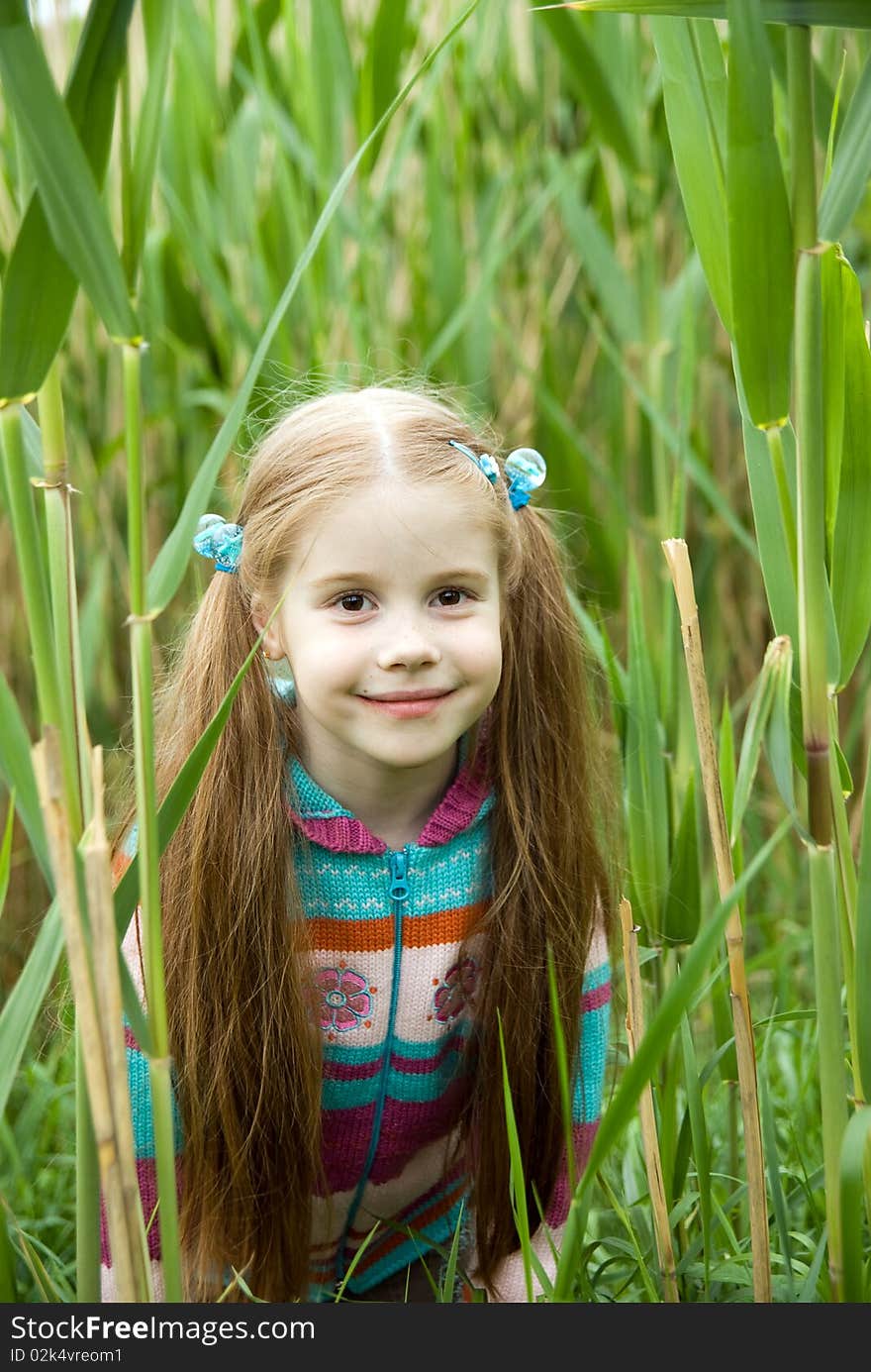 A Little Girl On A Green Meadow